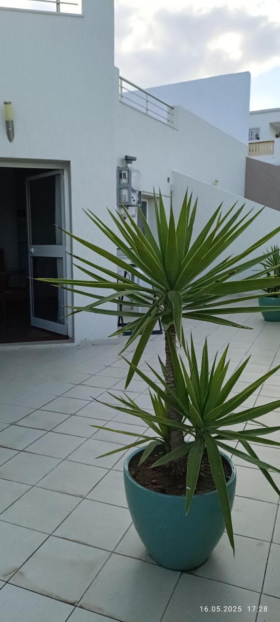 Residence Debbabi Sans Coupure D'Eau โมนาสตีร์ ห้อง รูปภาพ